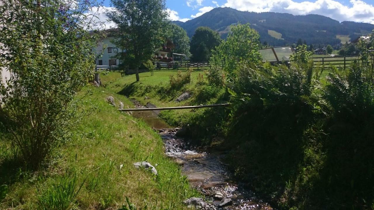 Apartmán Haus Hubertusheim Schladming Exteriér fotografie
